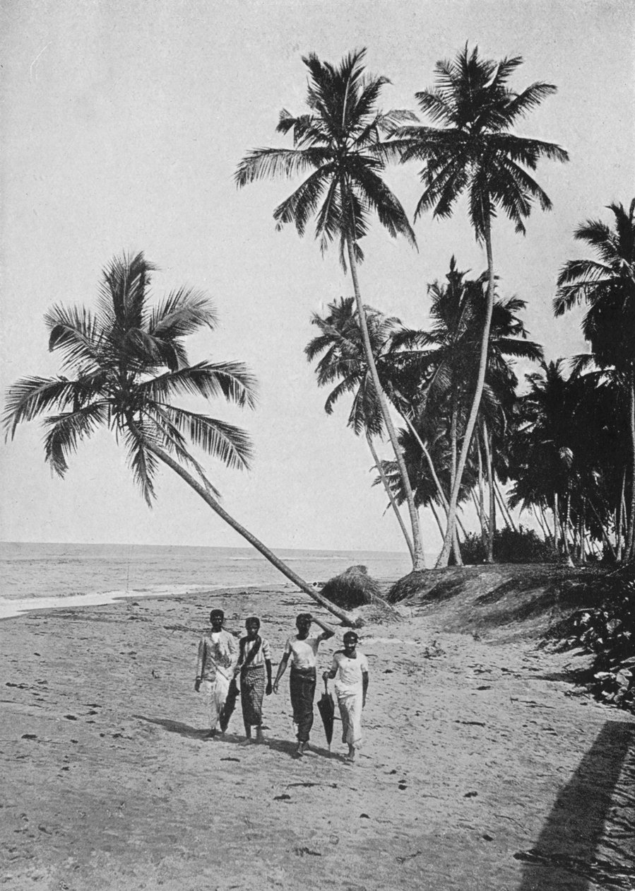 O lado do mar de prata, c1890, 1910 de Alfred William Amandus Plate