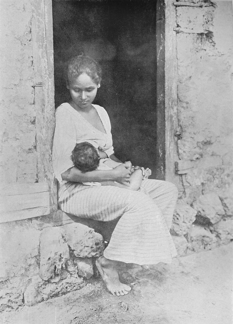A Vida Simples, c1890, 1910 de Alfred William Amandus Plate