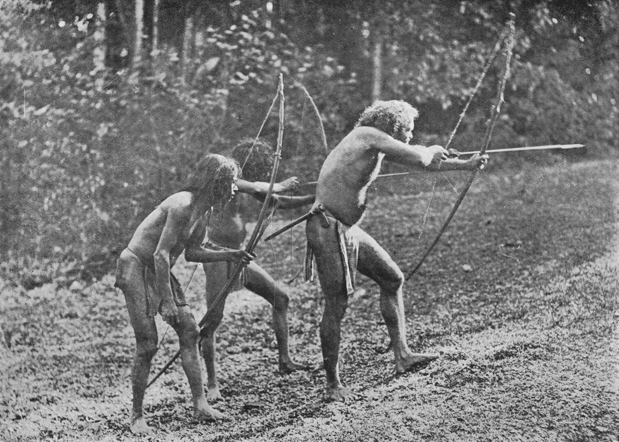 Veddahs ou Wild Men, c1890, 1910 de Alfred William Amandus Plate