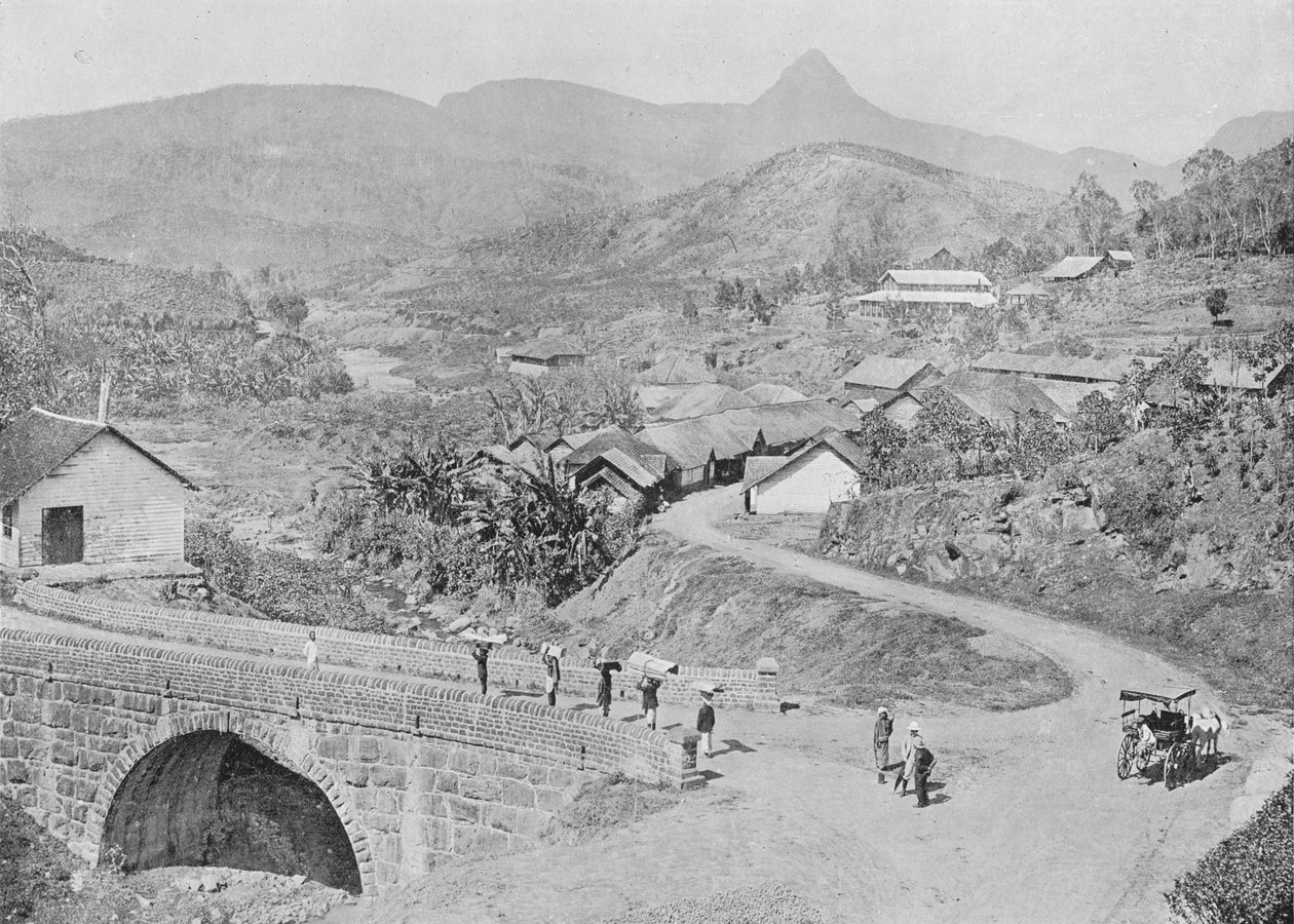 Vista de Maskeliya mostrando Adams Peak, c1890, 1910 de Alfred William Amandus Plate