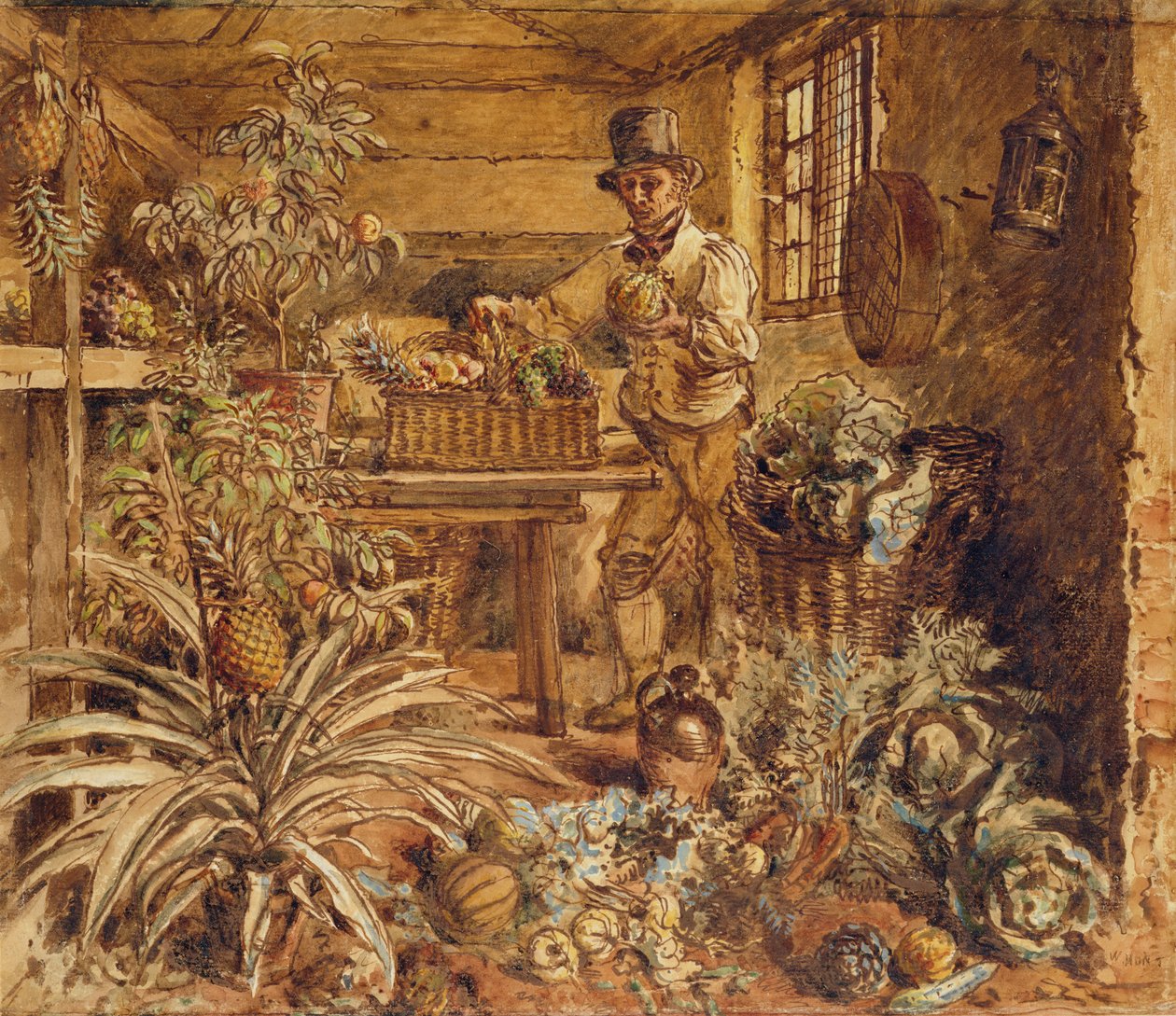 Um jardineiro em um galpão de vasos com abacaxis e vários vegetais (caneta, tinta e wc no papel) de Alfred William Hunt