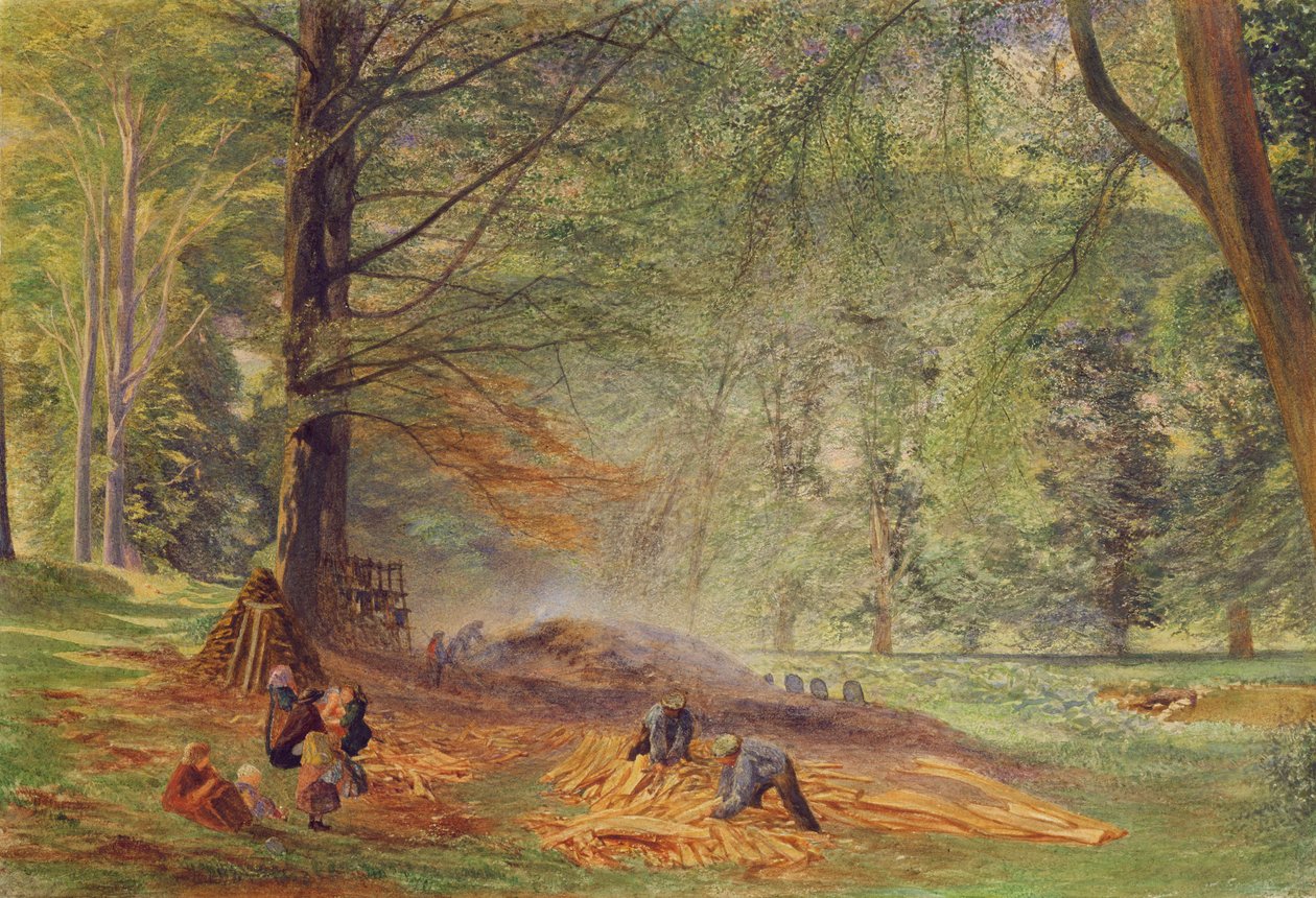 Queimadores de carvão em Rokeby Park (aquarela sobre papel) de Alfred William Hunt