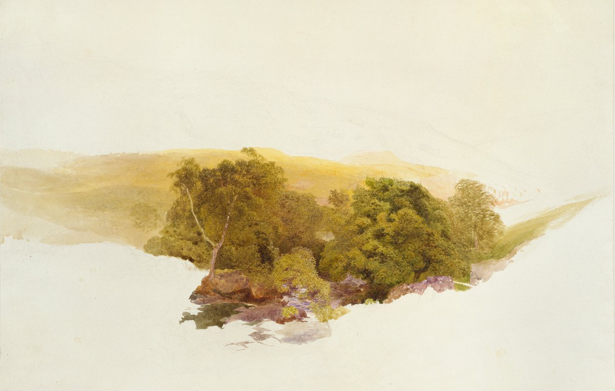 Colina de Martin, Dockwigg, c1862 de Alfred William Hunt