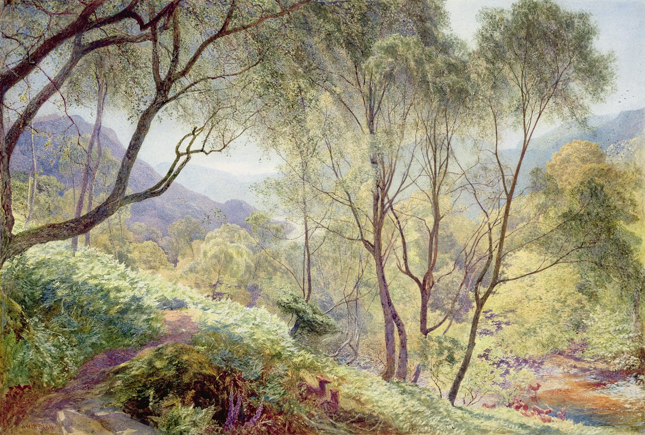 Ullswater do Parque Gowbarrow, 1864 de Alfred William Hunt