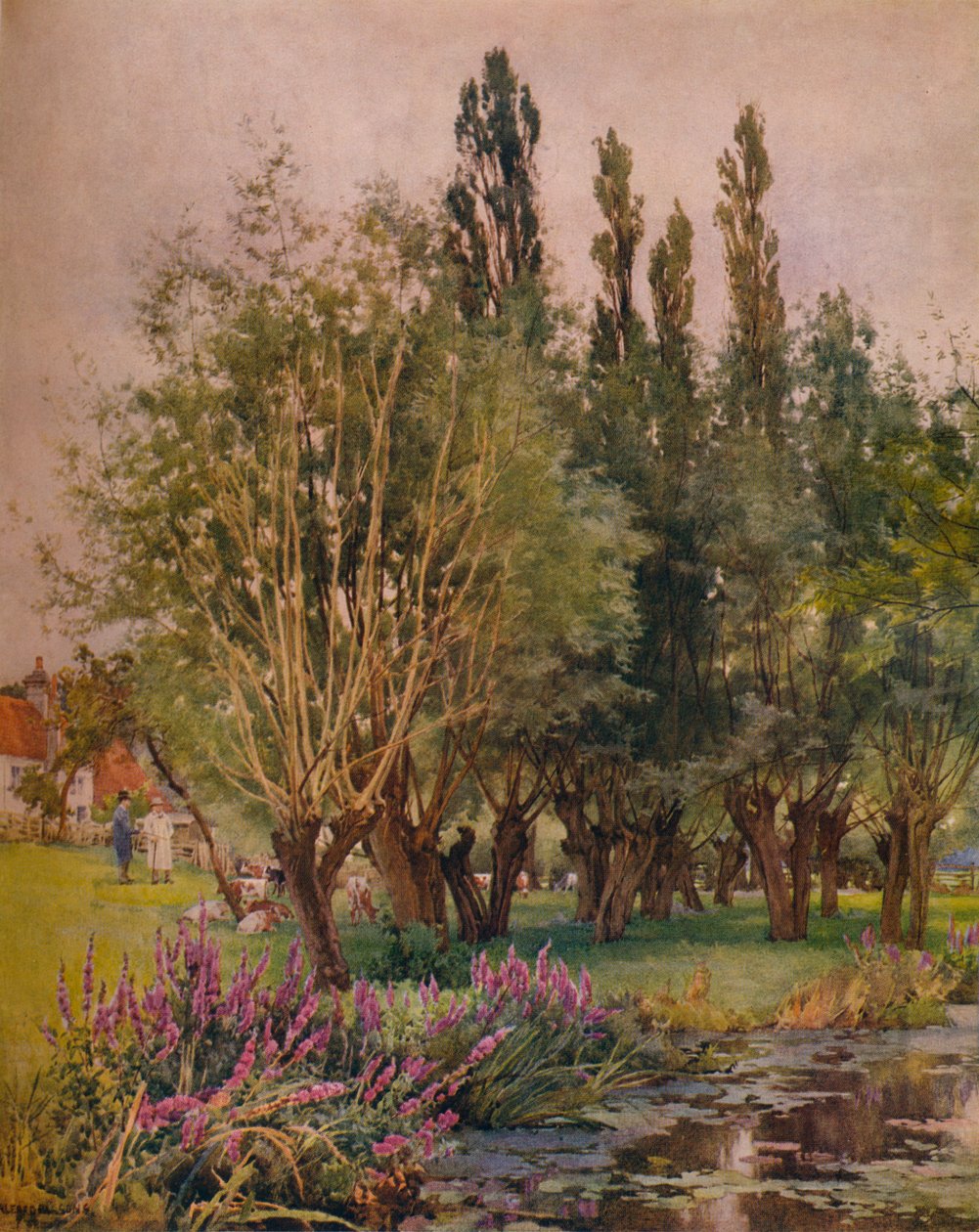 Loosestrife roxo, c1891 de Alfred William Parsons