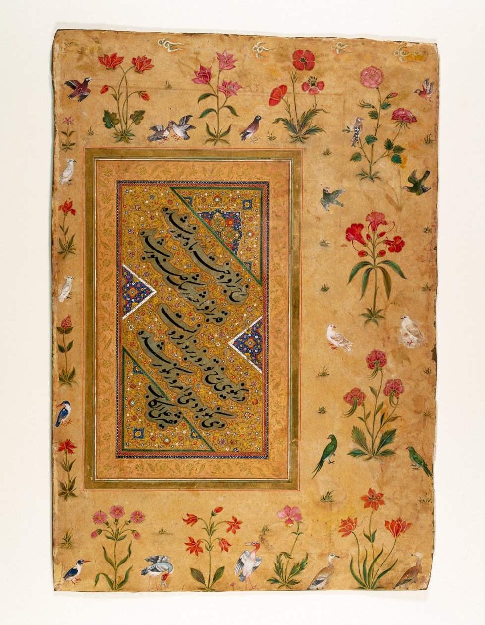 Amostra de Caligrafia Persa de um Álbum Mughal (tinta, wc opaco e ouro sobre papel) de Ali Haravi