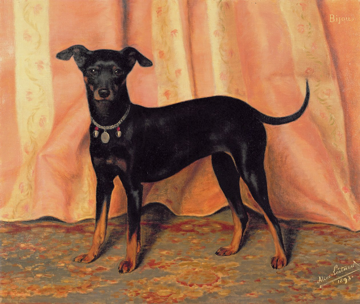Estudo de Bijou, um Bichon Terrier, 1893 de Alice Leotard