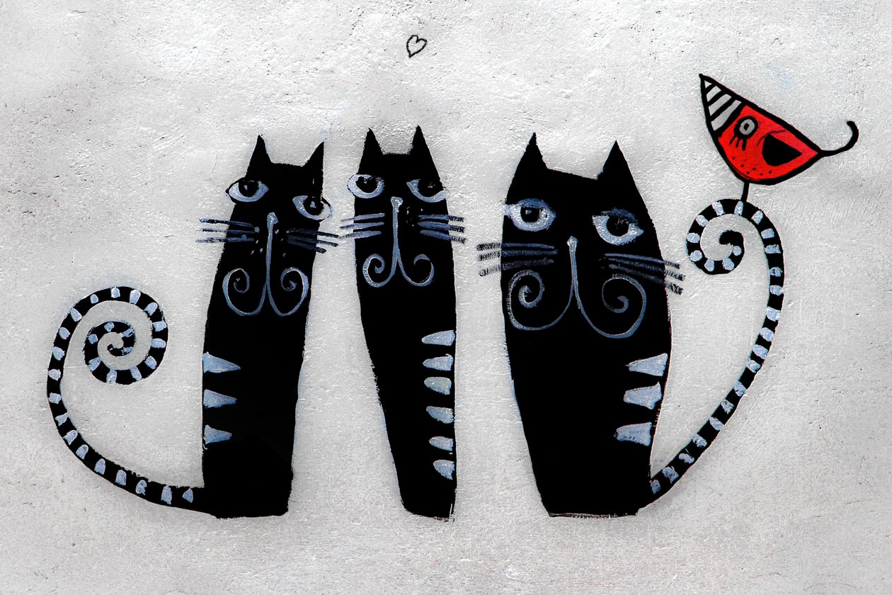 3 gatos de Cracóvia, 2019 (fotografia) de Alice Gur-Arie