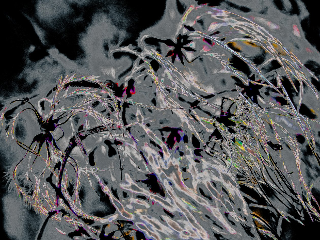 Countryfile, 2015 (fotografia) de Alice Gur Arie