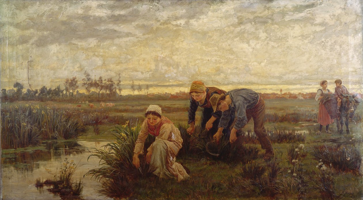 Cortadores De Rush de Alice Havers