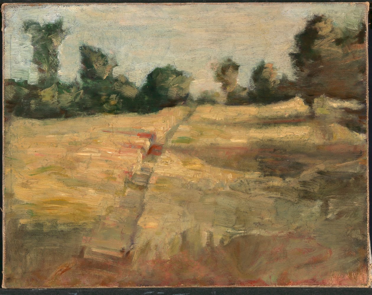 O campo de Alice Pike Barney