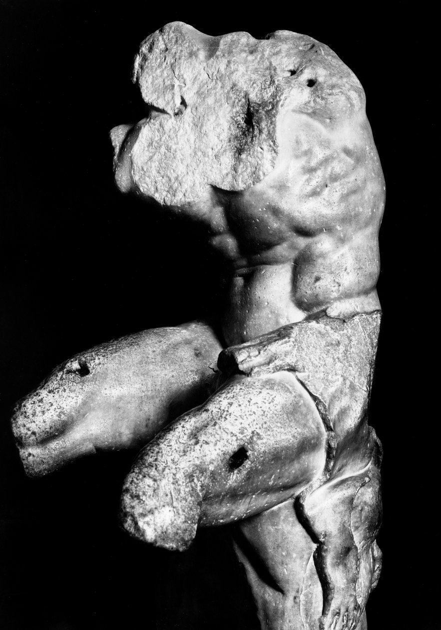 The Belvedere Torso by Apollonios of Nestor, c.1890 (foto a p/b) de Fratelli Alinari