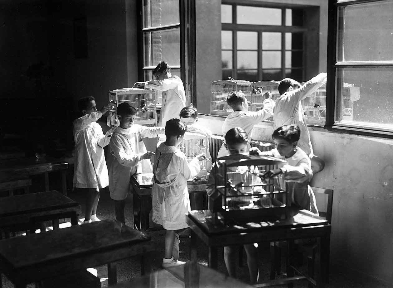 Villa Rosa Maltoni Mussolini: estudantes observando aves enjauladas (foto a p/b) de Fratelli Alinari