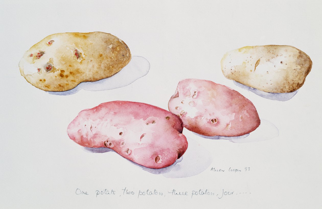 Estudo da batata, 1993 de Alison Cooper
