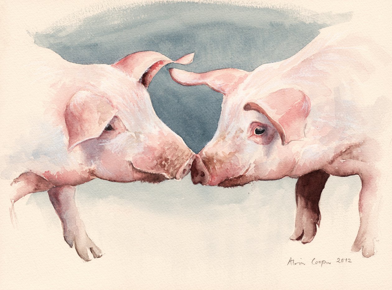 Dois Porquinhos, 2012 de Alison Cooper