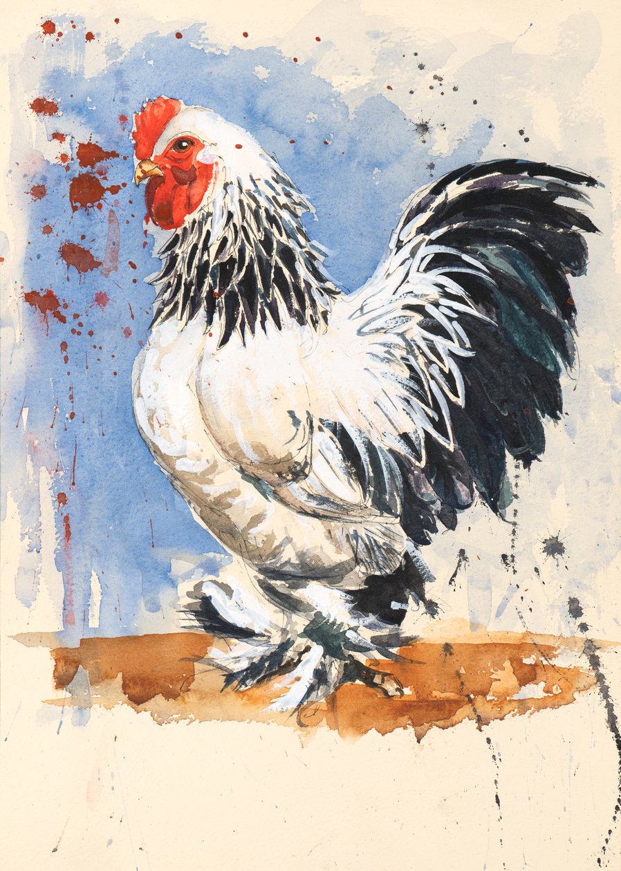 Brahma Bantam Cockerel, 2020 (aguarela) de Alison Cooper