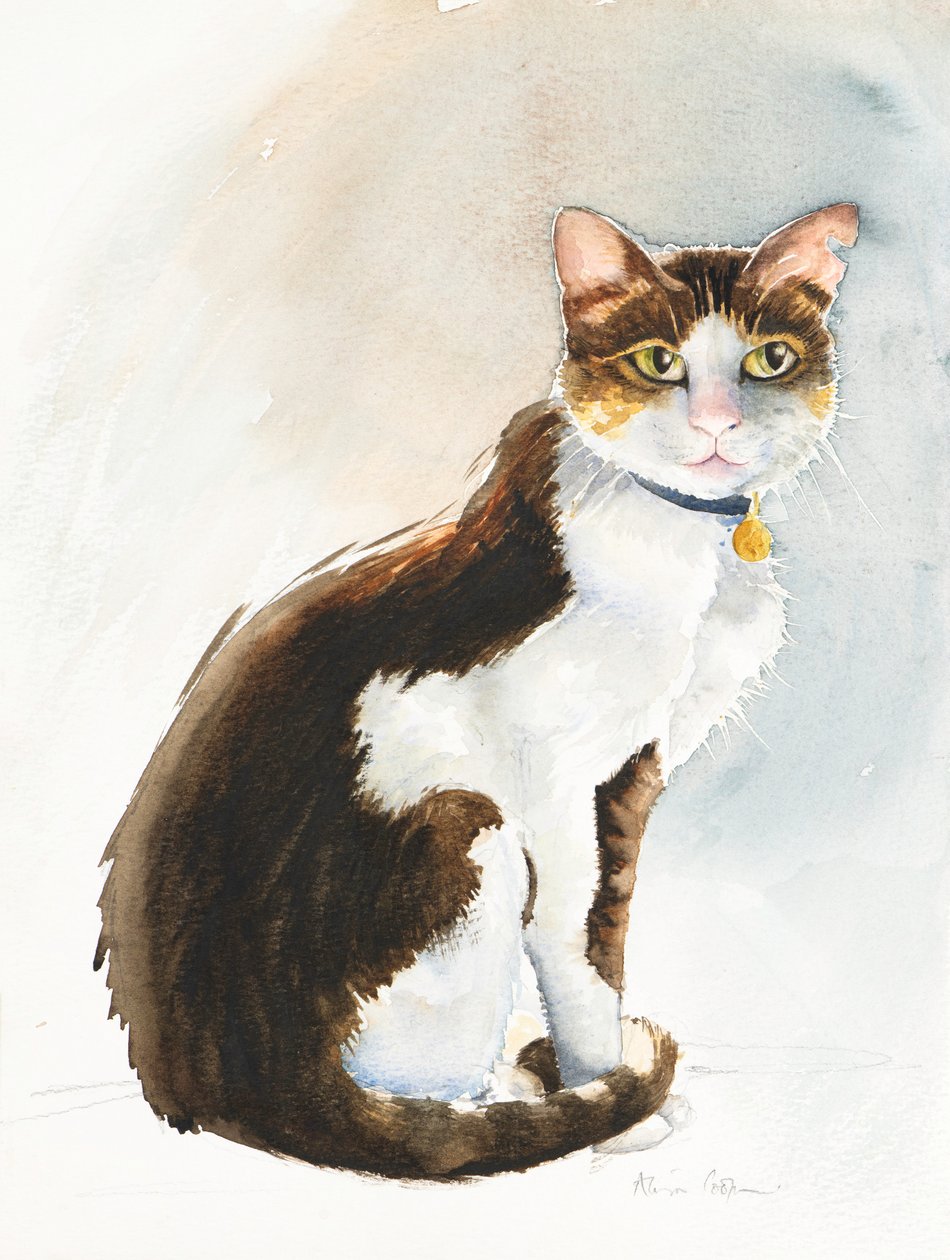 Dave the Saudi Cat, 2019 (aguarela) de Alison Cooper