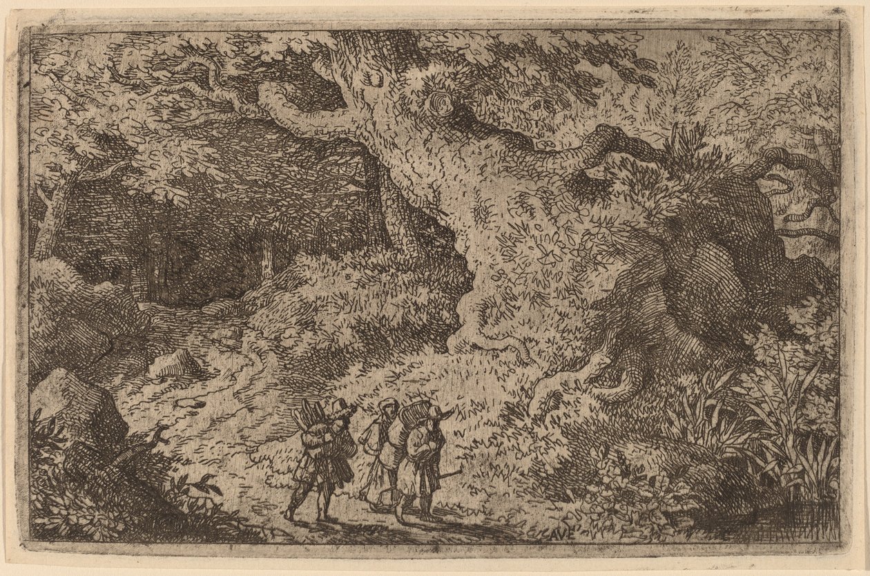 Uma floresta densa de Allart van Everdingen