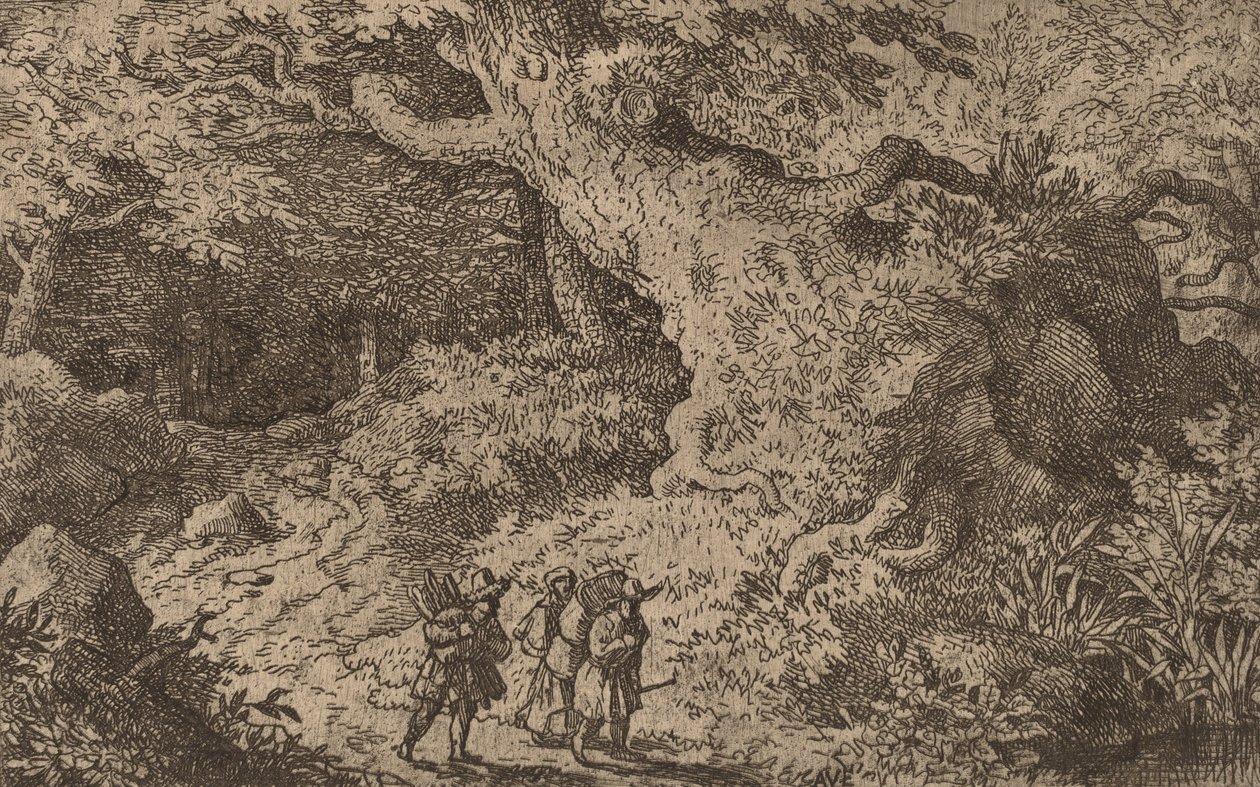 Uma Floresta Grossa, provavelmente c. 16451656. de Allart van Everdingen