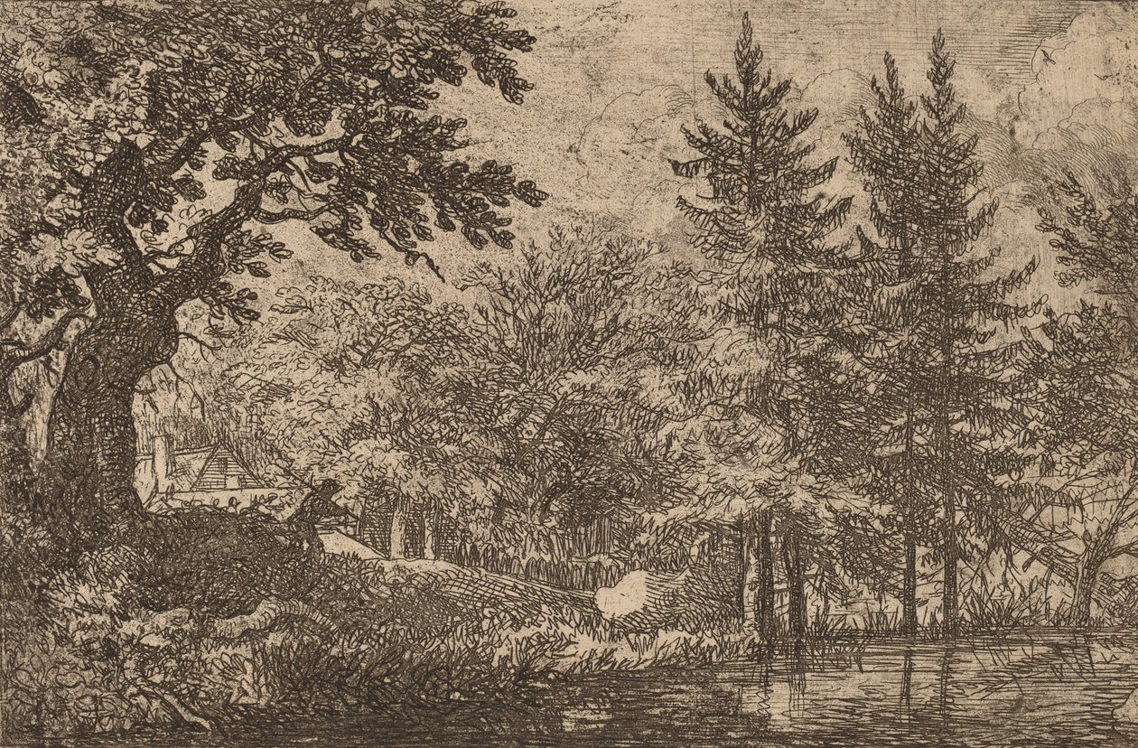 Abetos na Água, provavelmente c. 16451656. de Allart van Everdingen