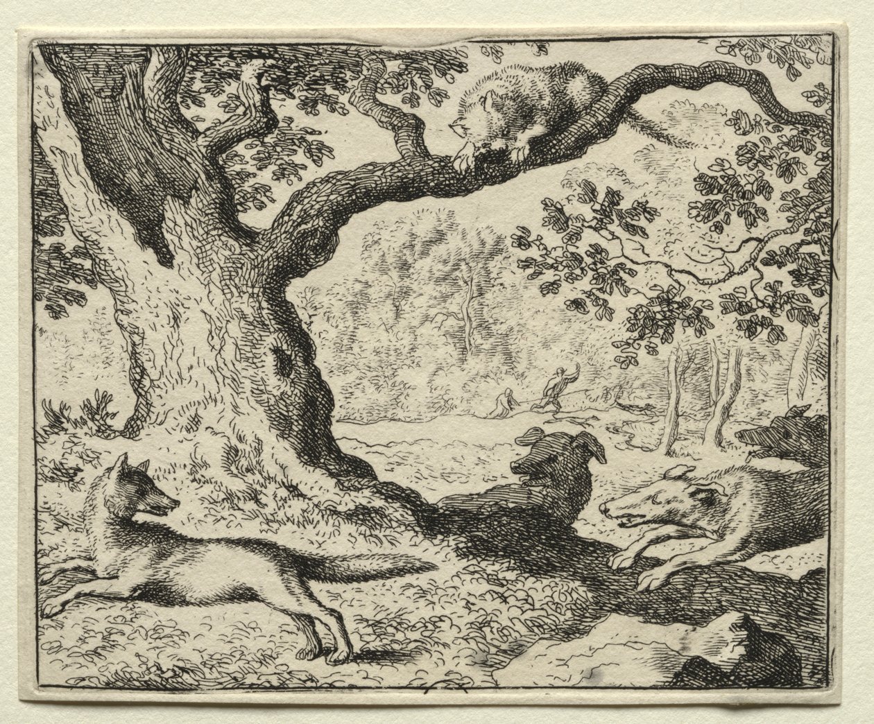 Reynard the Fox: O Gato Desleal. de Allart van Everdingen