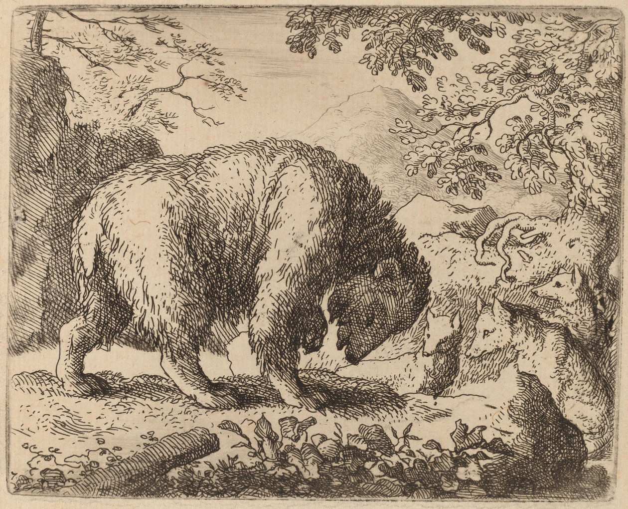 O Urso Distraído com Conversa de Mel, provavelmente c. 16451656. de Allart van Everdingen