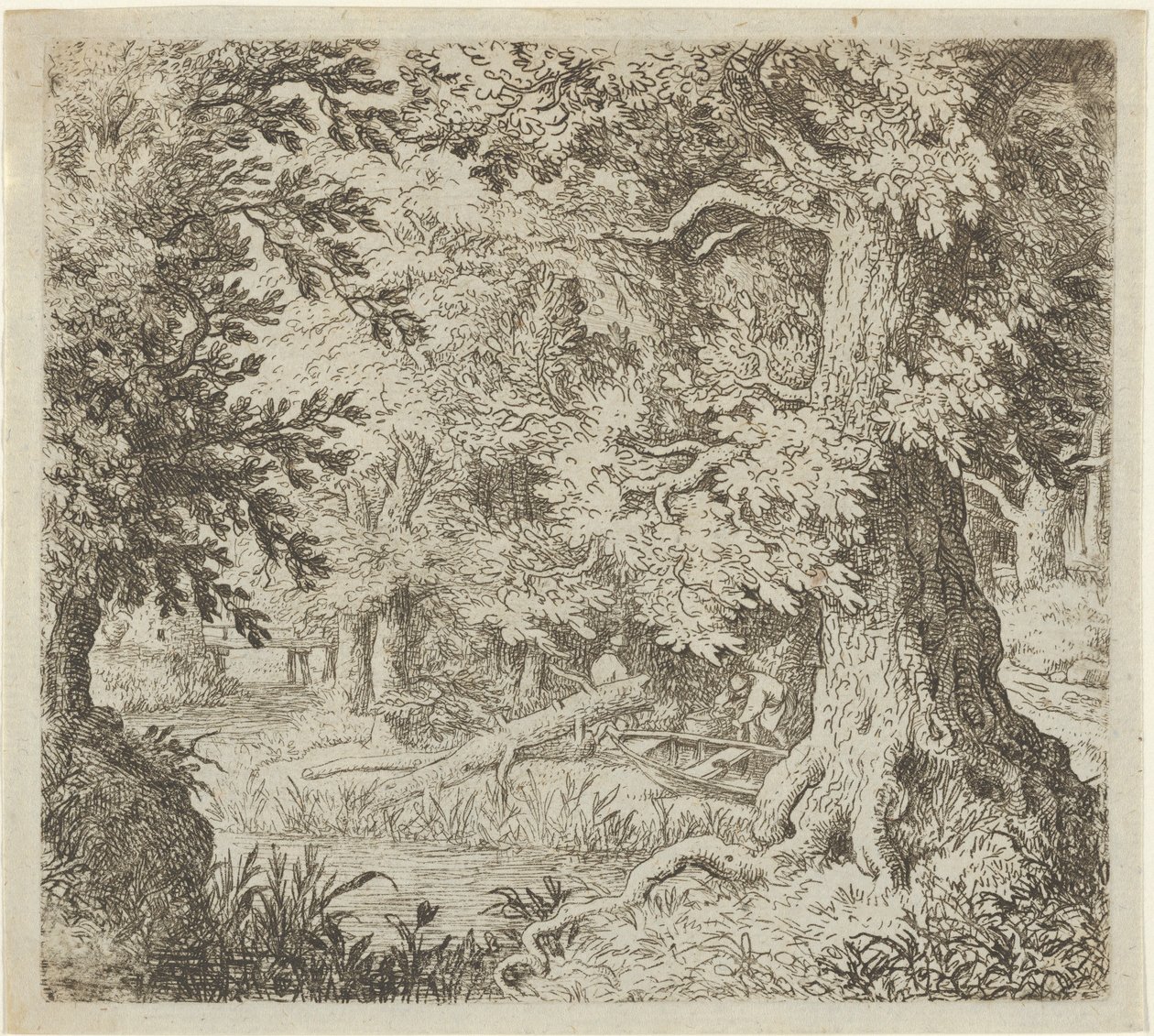 O riacho na madeira, século XVII. de Allart van Everdingen