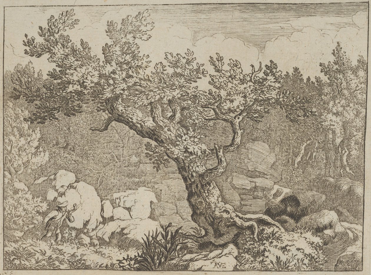 O Desportista perto da Grande Árvore, século XVII. de Allart van Everdingen