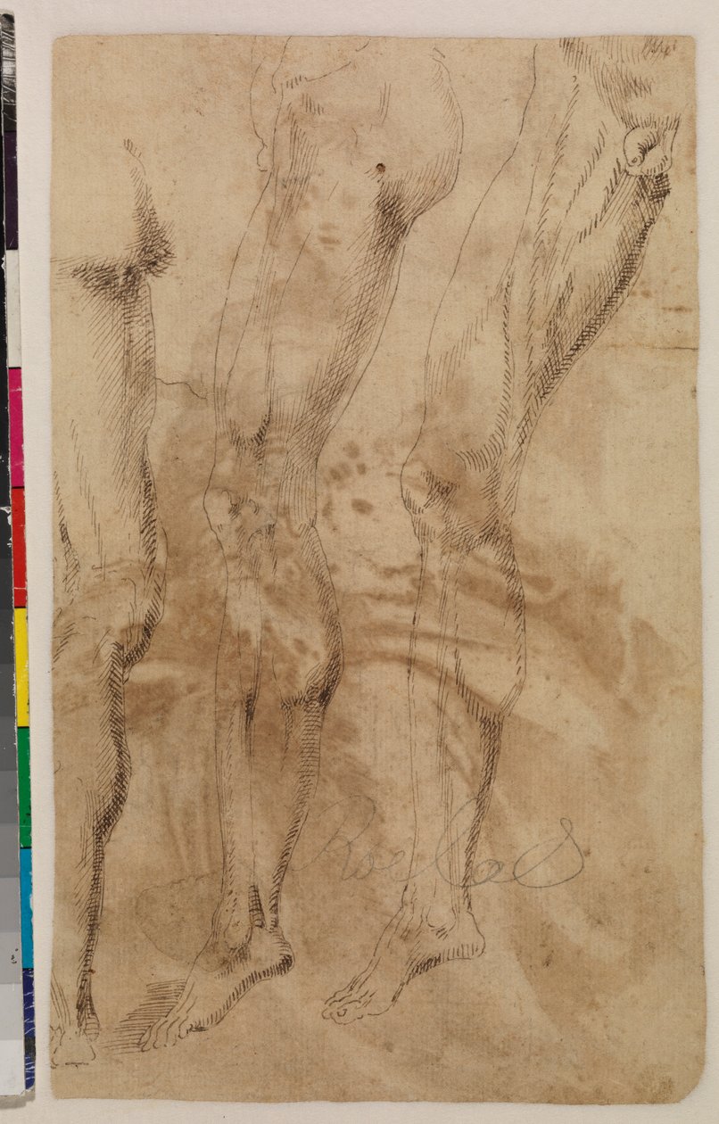 Três estudos de uma perna masculina (verso) c.1537 (caneta e tinta castanha sobre papel colocado) [ver 5948317]. de Alonso (workshop of) Berruguete