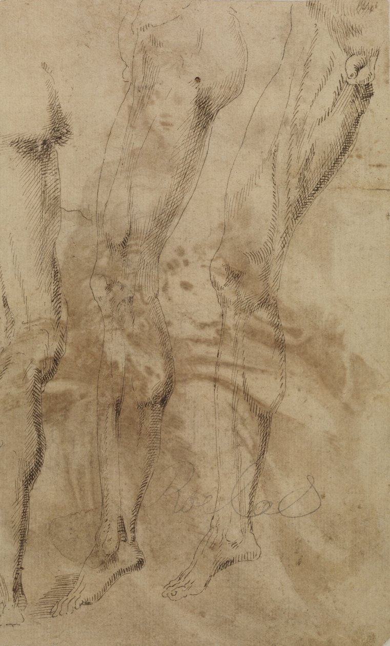 Três estudos de uma perna masculina, c.1637 de Alonso Berruguete