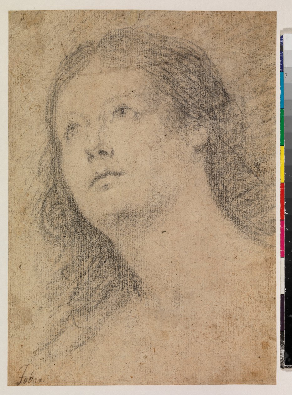 Cabeça de uma mulher a olhar para cima (recto) de Alonso Miguel de Tovar