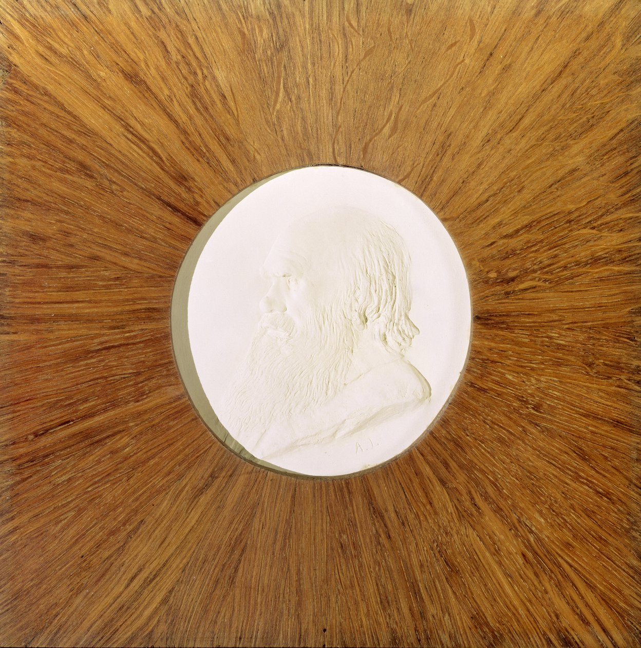 Charles Darwin (1809-82) c.1881 (baixo relevo de gesso) de Alphonse Legros