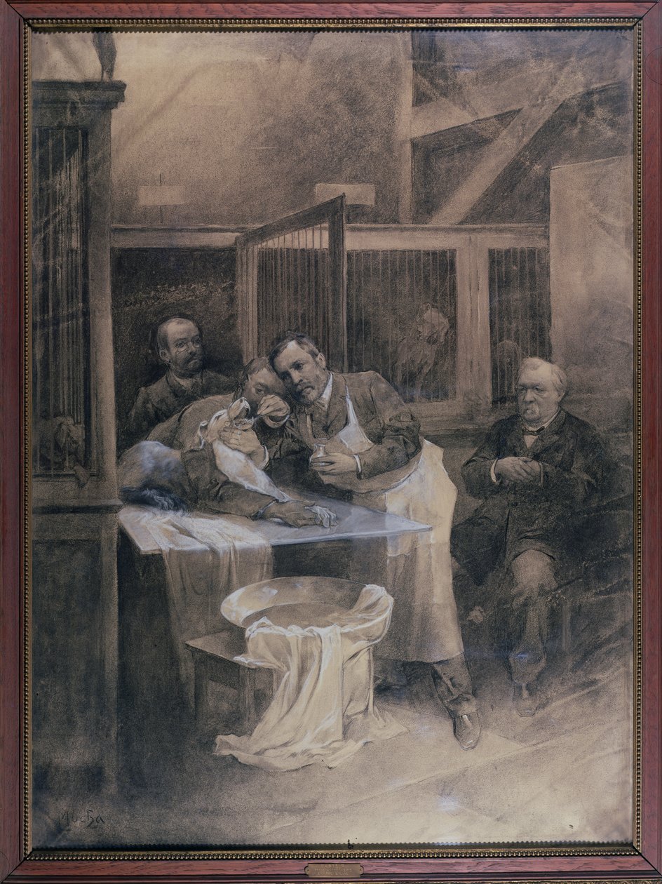 Louis Pasteur (1822-95) tirando uma amostra de espuma de um cão raivoso (carvão) de Alphonse Mucha