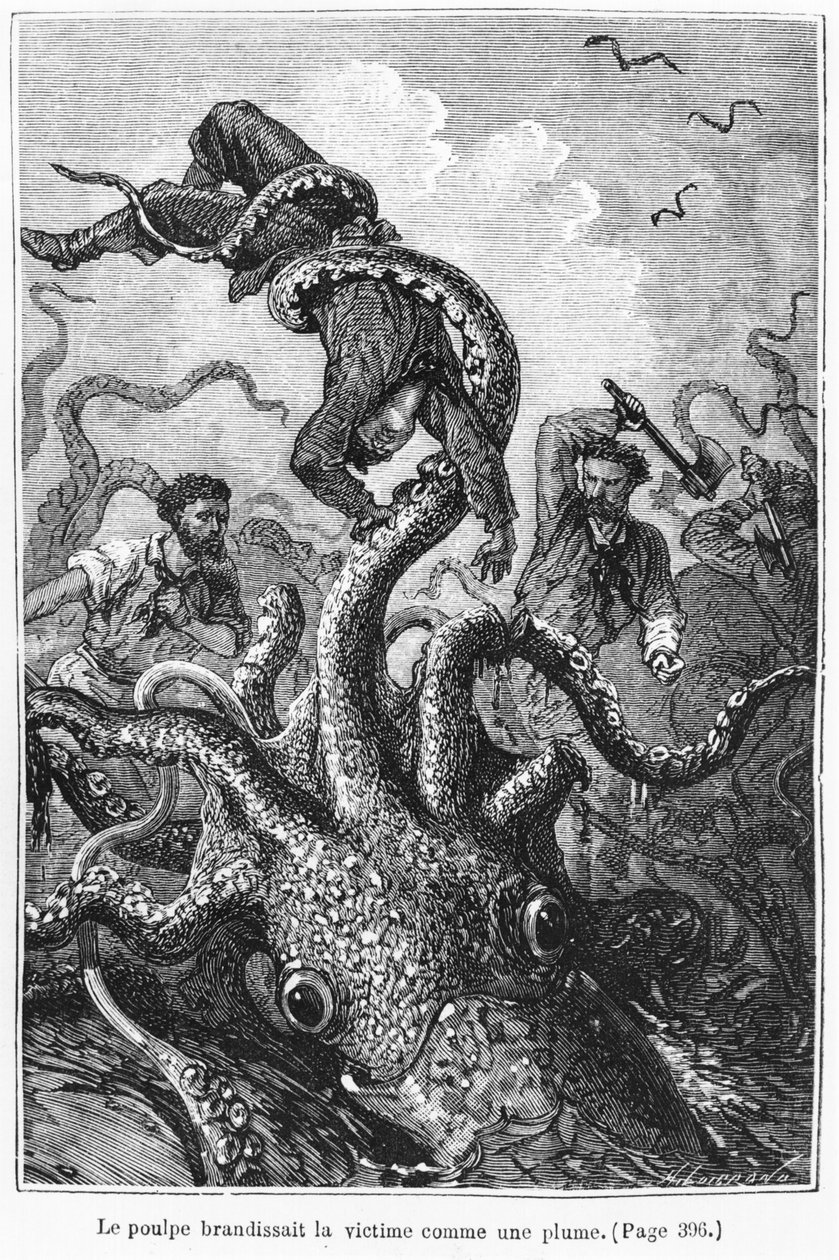 O polvo atacando o nautilus, ilustração de &39;20, 000 léguas submarinas &39;por Jules Verne (1828-1905) gravado por Henri Theophile Hildibrand (1824-97) Paris, Hetzel, publicado em 1877 (engravin de Alphonse Marie de Neuville