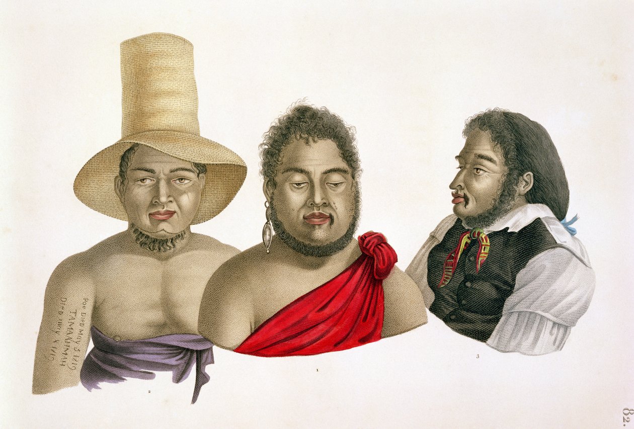 Retratos de chefes das Ilhas Sandwich, de &39;Voyage autour du Monde (1817-20)&39;, de Louis Claude Desaulses de Freycinet (1779-1842) gravada por A. Migneret, publicada em 1822-24 de Alphonse Pellion