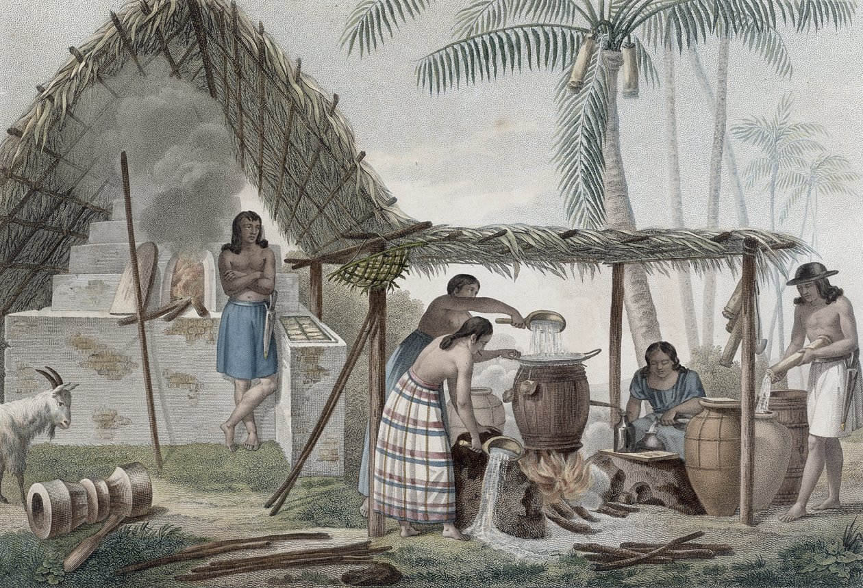 Vista de uma destilaria na ilha de Guam, de &39;viagem ao redor do mundo em corvetas de Urania 1817-20&39; gravado por Pomel, publicado em 1825 de Alphonse Pellion