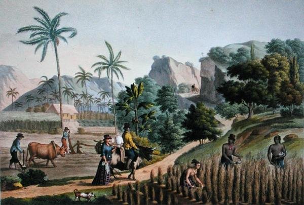 Ilha de Guam: Obras agrícolas, de 