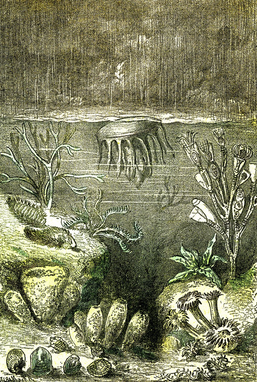 Pré-história-Terras e Mares: O início do período Siluriano (J. Rengade. Desenho de Demarle. 1885 de Alphonse Demarle
