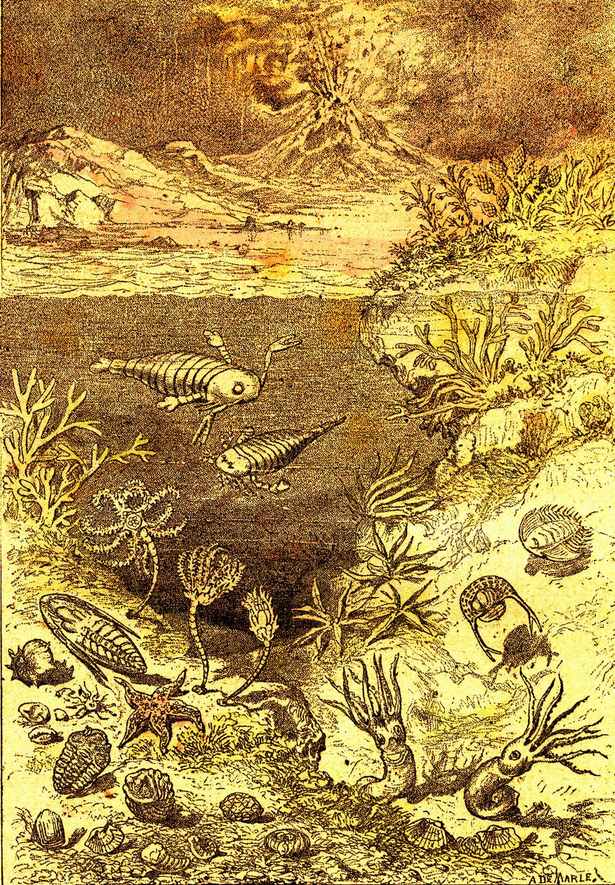 Pré-história - Fim do período Siluriano: Criação Natural e Seres Vivos (J. Rengade) Desenho de A. Demarle. 1885 de Alphonse Demarle