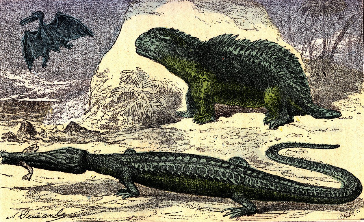 Pré-história - Período Jurássico: O Teleosaur e o Hyleosaur. O Pterodáctilo lá em cima. A criação natural e os seres vivos. Desenho de A. Demarle. 1885 de Alphonse Demarle