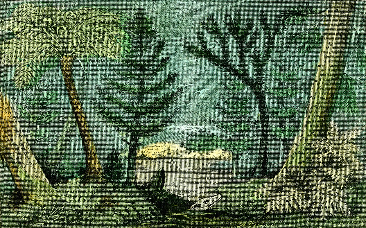 Pré-história, período do carvão: Marecagem e perfuração do período carbonífero (J. Rrengade) de Alphonse Demarle