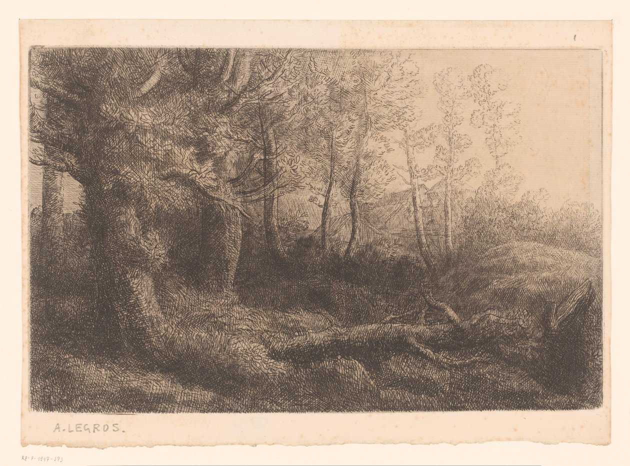 Vista da floresta de Alphonse Legros (attributed to)