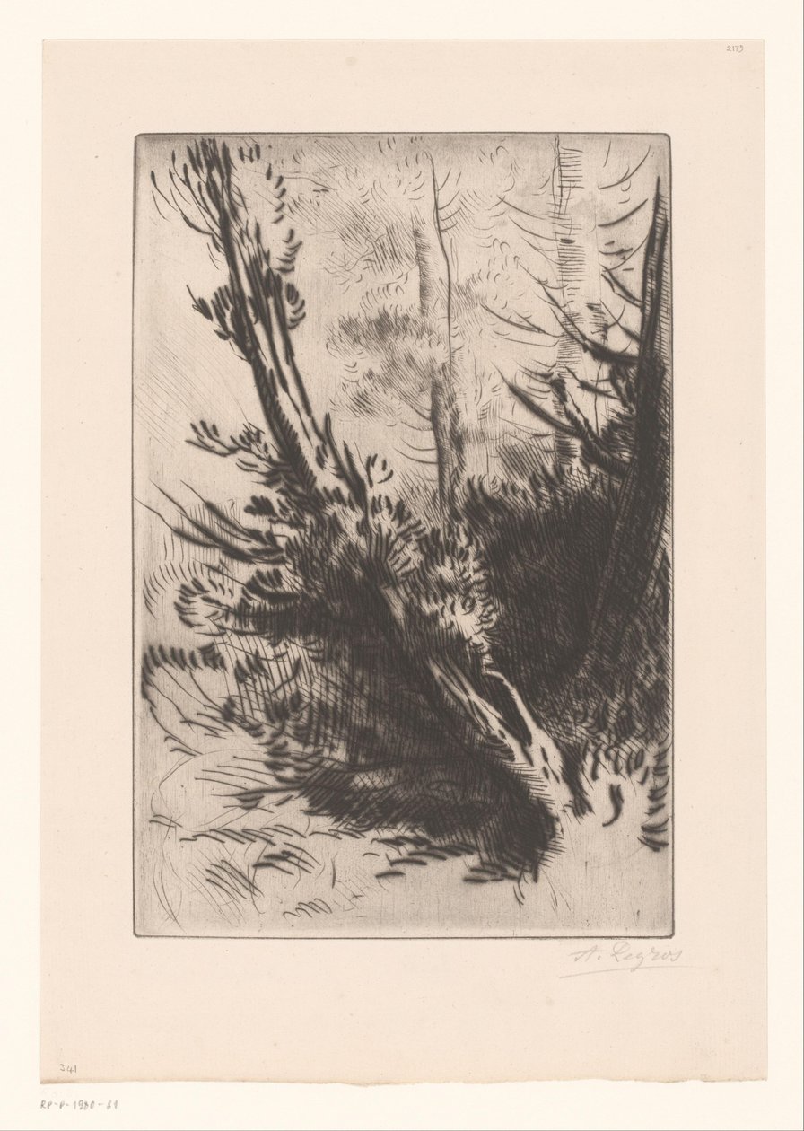 árvores de Alphonse Legros (signed by artist)
