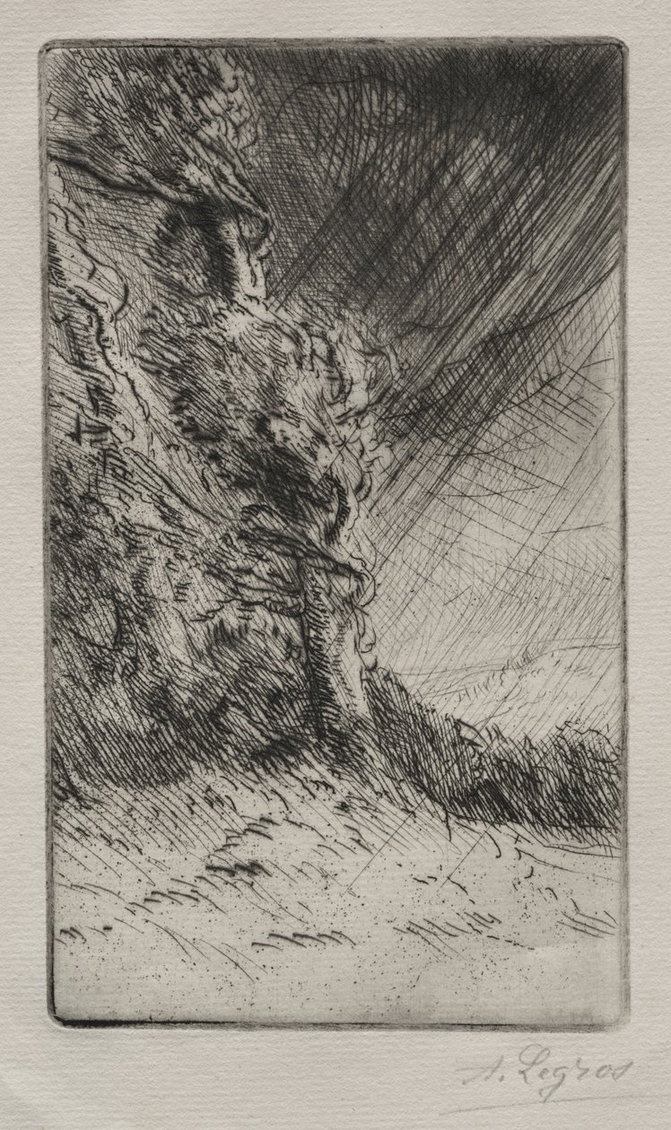 Uma rajada de vento de Alphonse Legros