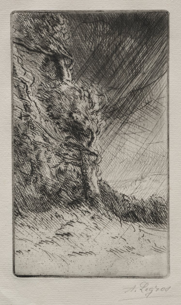 Uma rajada de vento. de Alphonse Legros