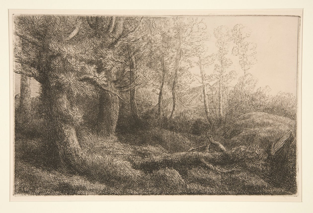 Um estudo da floresta de Alphonse Legros