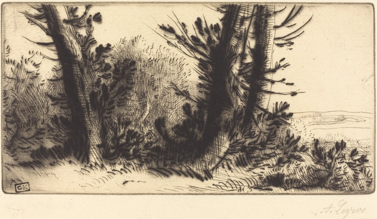 Across Country Um campeão de travessias. de Alphonse Legros