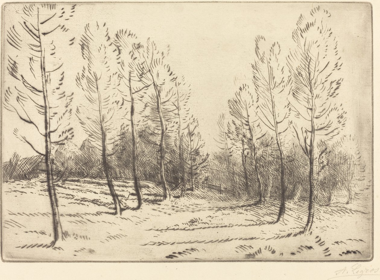 Avenida dos Choupos de Alphonse Legros