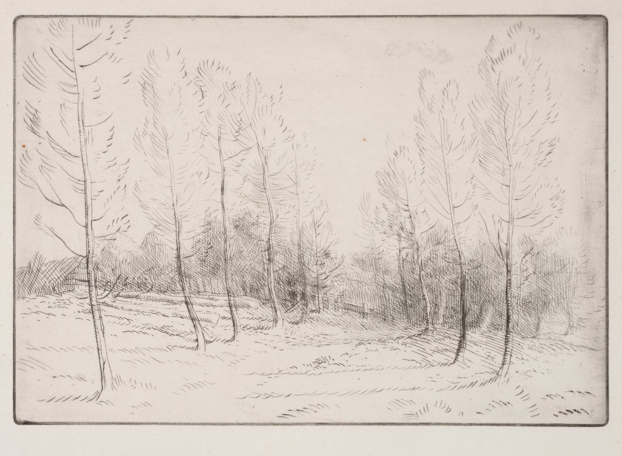 Avenida dos Choupos de Alphonse Legros