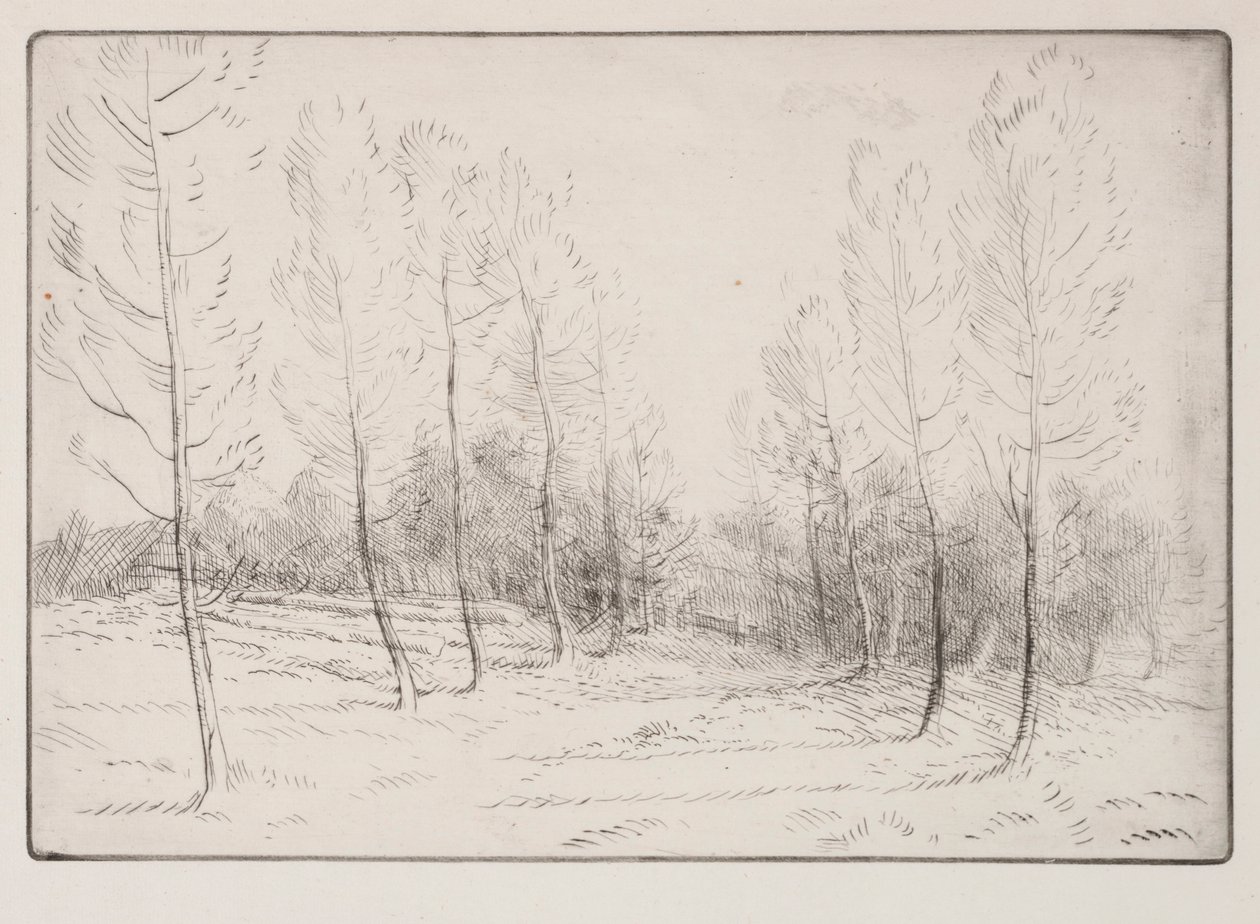 Avenida dos álamos. de Alphonse Legros